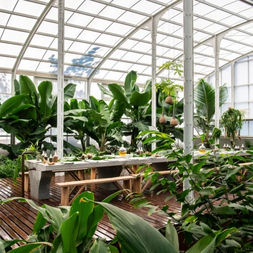 Greenhouse at Babylonstoren