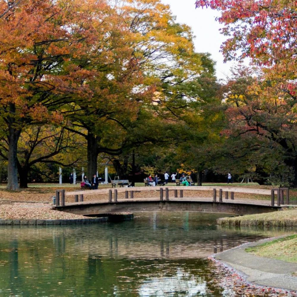 Yoyogi Park