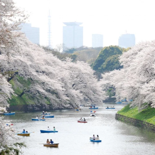 Ueno Park