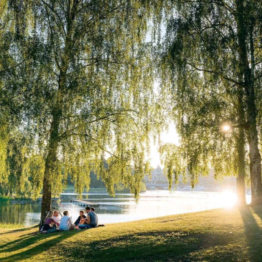 Djurgården