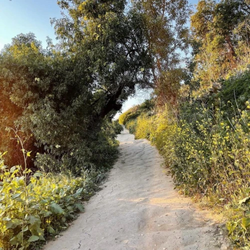 Kenneth Hahn State Recreation Area