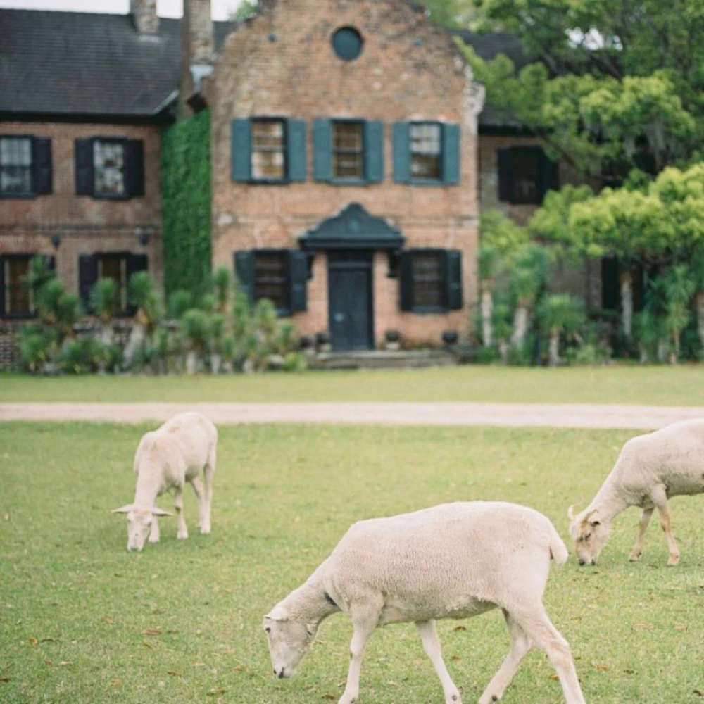 Middleton Place