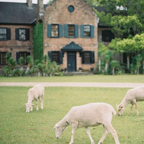 Middleton Place