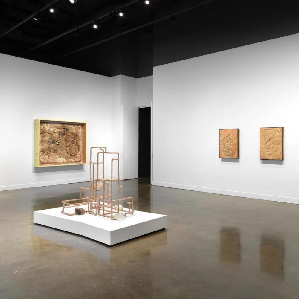 Empty Gallery