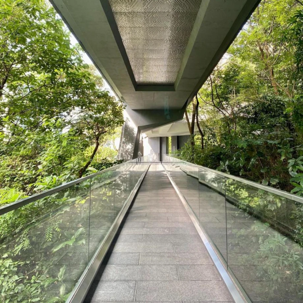 Asia Society