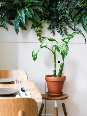 AMOI - Indonesian Kitchen and Bar