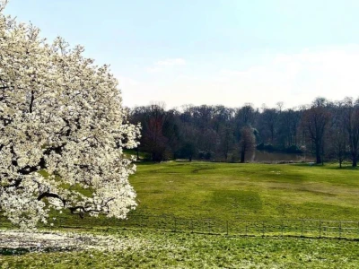 Kenwood Ladies' Pond