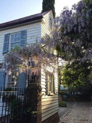 Stoll's Alley