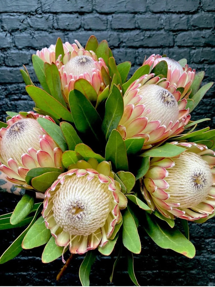 Flor Artes