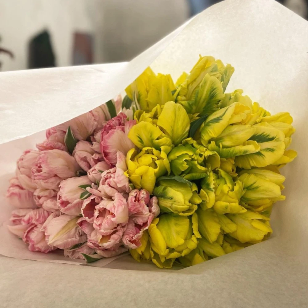Baltimore Bloemen