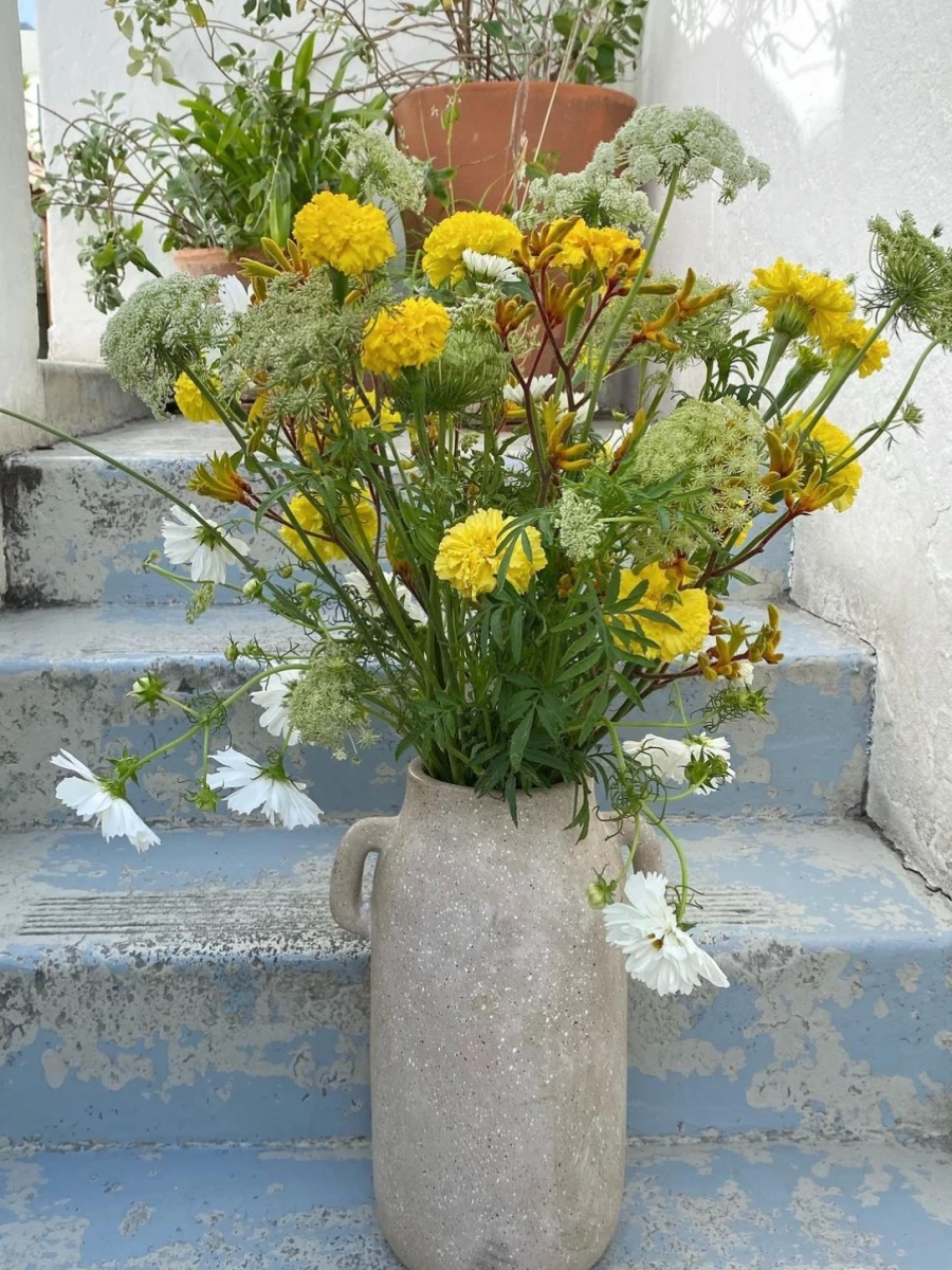 Opus Botanical Florist
