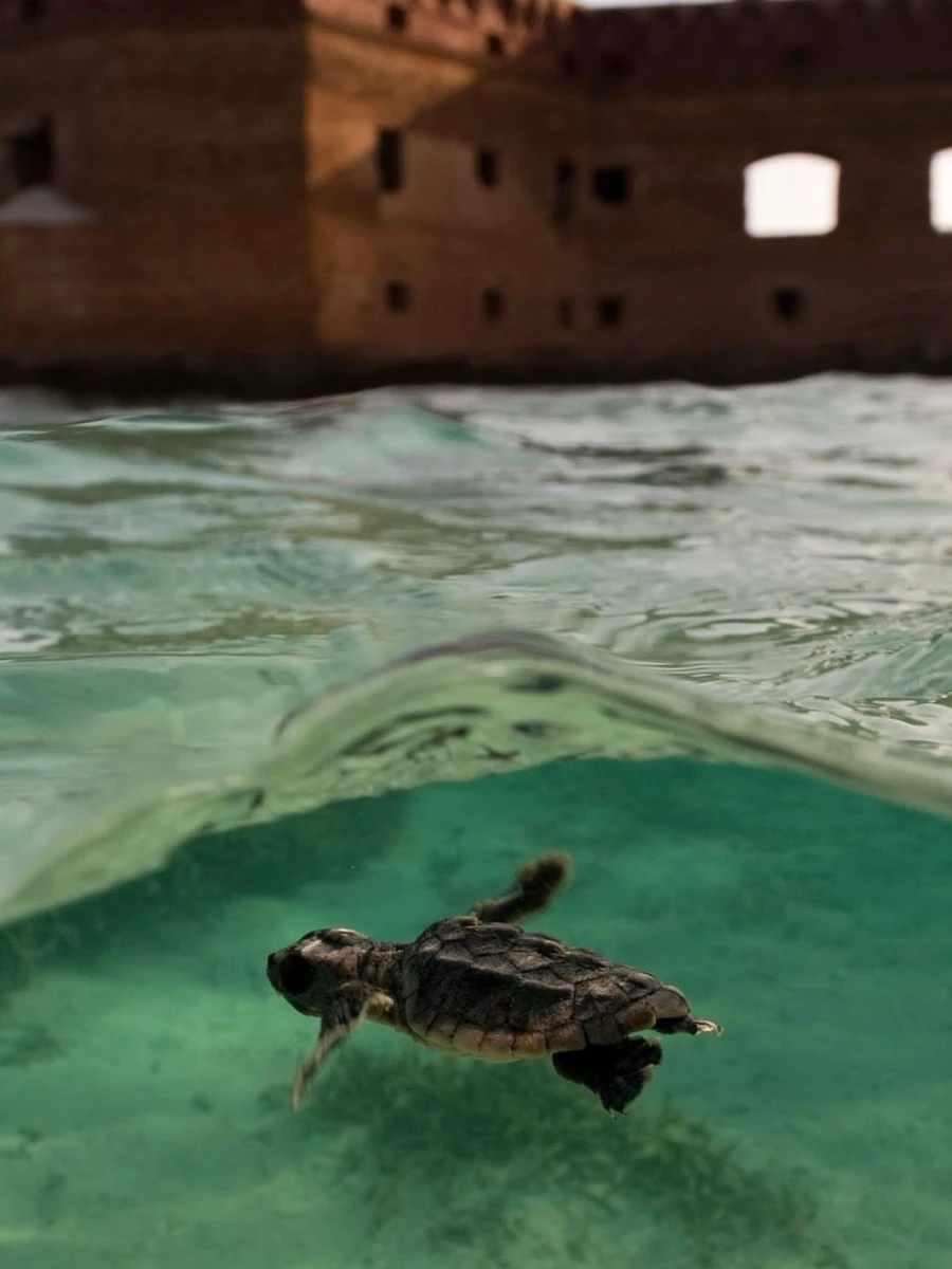 Dry Tortugas National Park