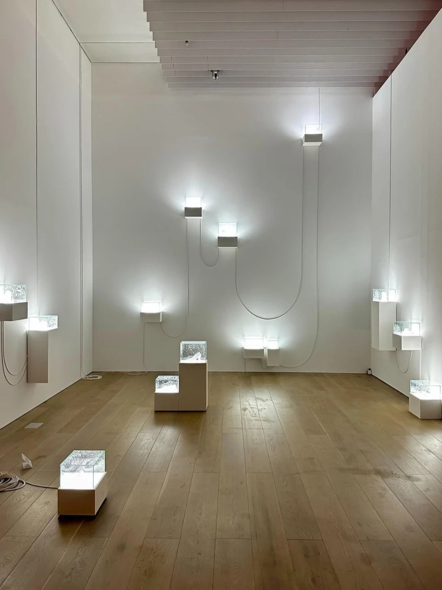 Mori Art Museum