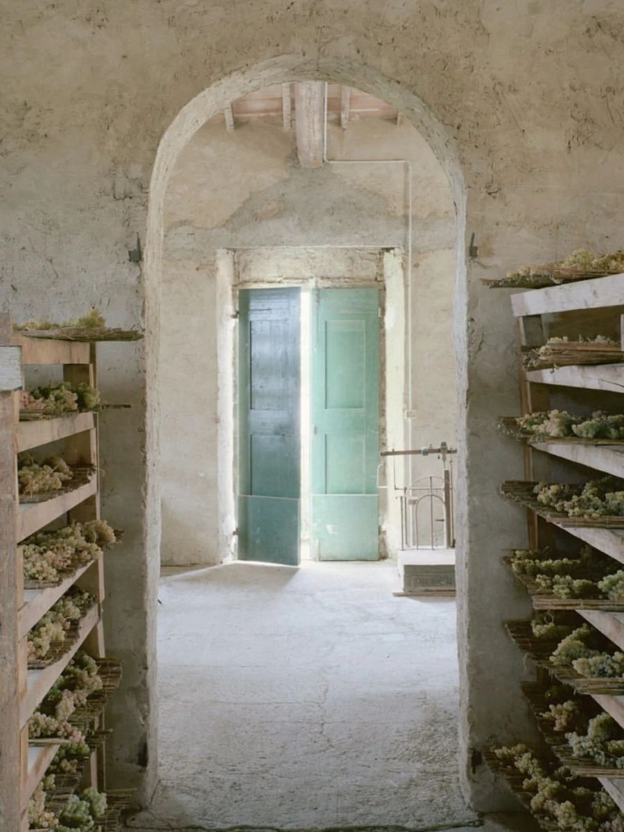 Gucci Osteria da Massimo Bottura
