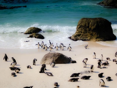 Boulders Beach