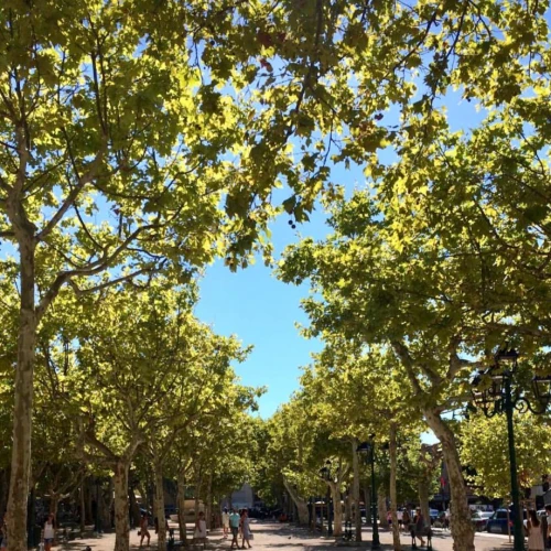 Place des Lices
