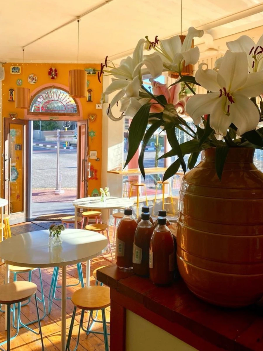 El Burro Taqueria