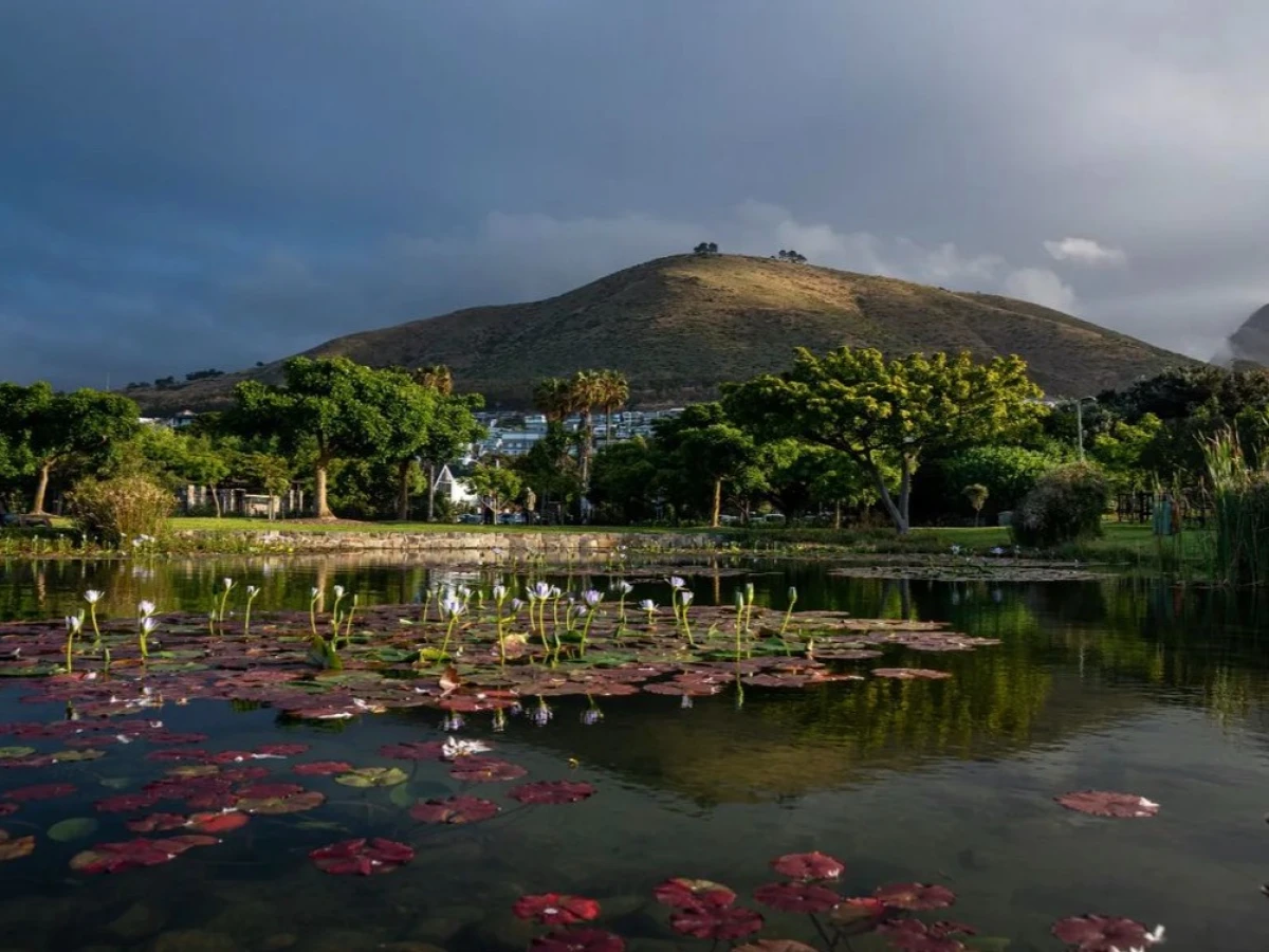 Green Point Park