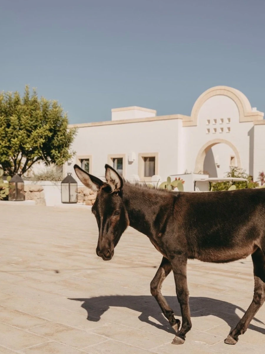 Masseria Calderisi