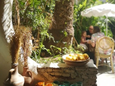 5 Gourdes Réutilisables 220ml Twistshake - Design fruits au Maroc - Baby  And Mom